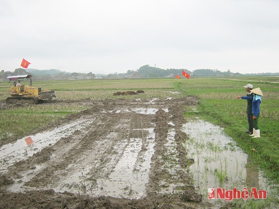 Người dân phường Quỳnh Xuân (TX. Hoàng Mai) đưa cơ giới  cải tạo đồng ruộng.