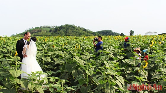 Nhiều đôi vợ chồng tìm đến đây và lưu lại khoảnh khắc này để kỷ niệm ngày cưới