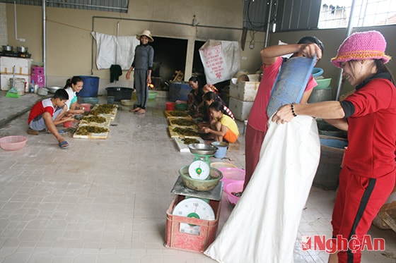 Khách hàng nhập lươn tại cơ sở của anh Nguyễn Văn Khẩn (Long Thành, Yên Thành).