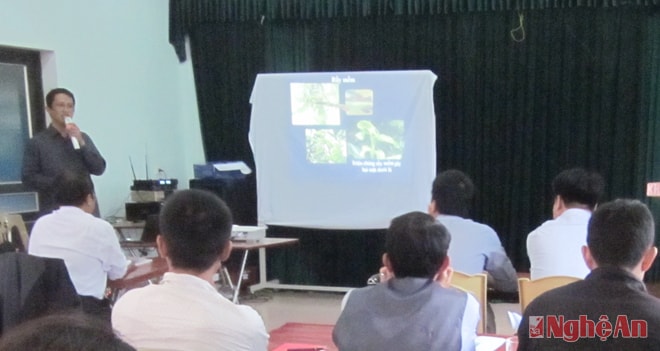 Toàn cảnh lớp tập huấn.