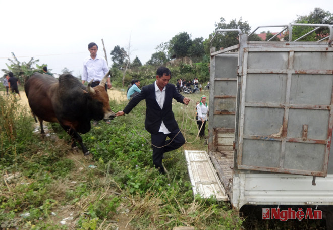 “Đấu sỹ” lên xe tải trở về.