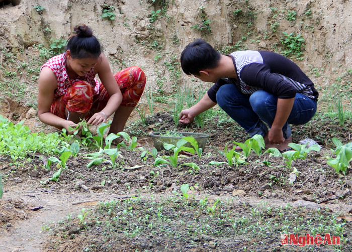 Người dân Ơ Đu nơi đây biết khoanh vườn trồng rau, đáp ứng nguồn thực phẩm tại chỗ cho bà con