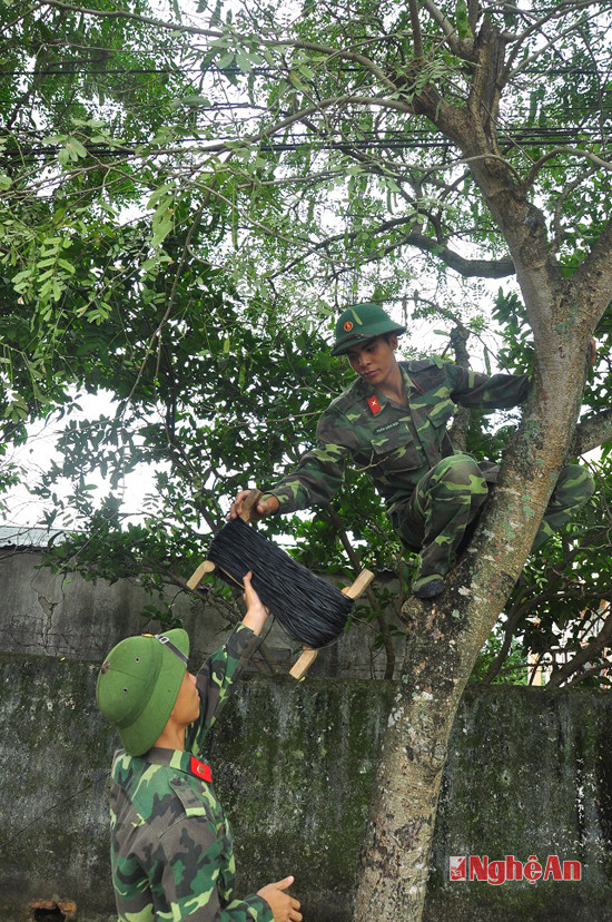 Còn nhiều khó khăn với người lính thông tin trên mỗi tuyến dây, trong từng nhiệm vụ. Đơn cử như với địa bàn tác nghiệp đường dây hữu tuyến tại thành phố Vinh, là nơi mật độ đi lại đông, dẫn đến nhiều khó khăn. Như trong thực hiện nhiệm vụ diễn tập tháng 7/2013, CBCS Trung đội 3 thực hiện rải 500m dây từ đường Vương Thúc Mậu (TP Vinh) về khu vực Tỉnh ủy. Trong quá trình đó, do xe ô tô đi lại nhiều, nên đã kéo dây chùng xuống ngang đường. Mặc dù đã vào giờ khuya, nhưng Thượng úy Nguyễn Bá Diện cùng anh em trong trung đội đã ra ngay hiện trường, kéo lại dây nhằm tránh TNGT cho nhân dân. 