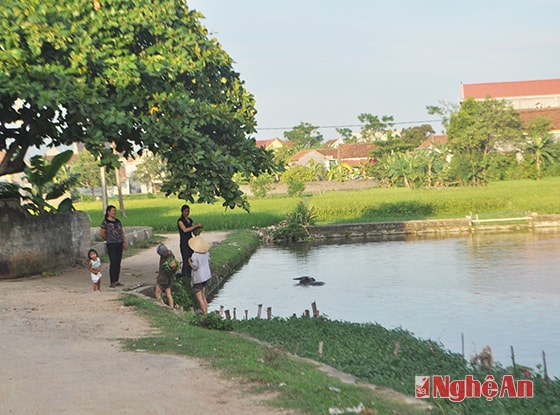 Một góc Làng Văn hóa Bắc Sơn, xã Vân Diên (Nam Đàn). Ảnh: thanh Thủy