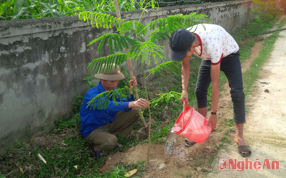 Đoàn viên thanh niên xóm 5, xã Hùng Sơn, Anh Sơn ra quân trồng cây 