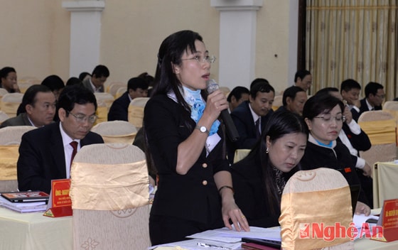 Đại biểu Đinh Thị An Phong (Nghi Lộc) băn khoăn về chỉ tiêu xây dựng xã chuẩn nông thôn mới