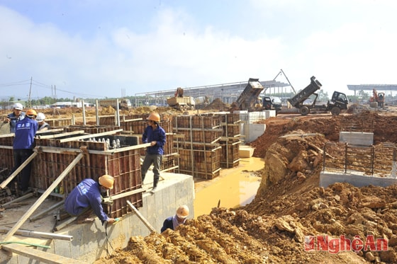 Thi công Nhà máy gỗ ván MDF (Nghĩa Đàn). Ảnh: S.M