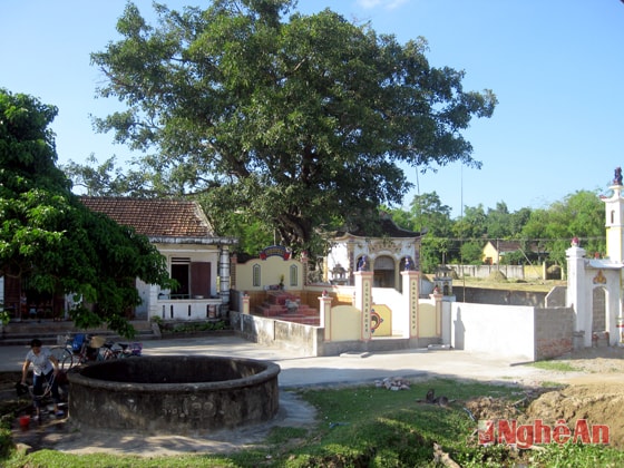 Cây đa, giếng làng ở xã Xuân Lâm (Nam Đàn). Ảnh: Bùi Văn Dũng