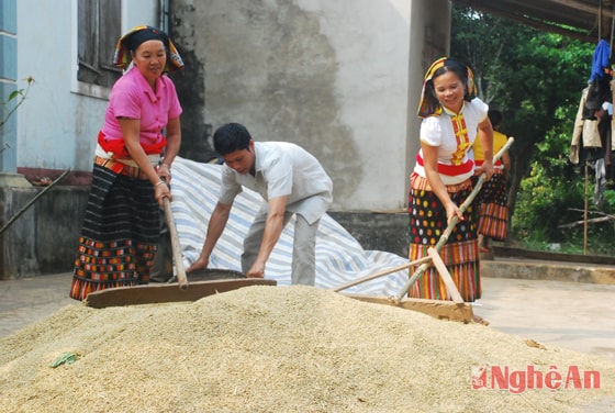 Người dân xã Nghĩa Lâm (Nghĩa Đàn) phấn khởi được mùa. Ảnh: Thu Hương