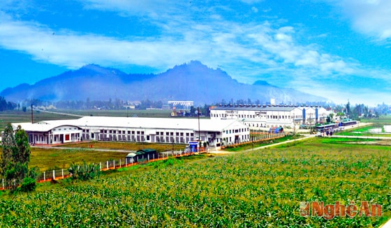 Khu công nghiệp Nam Giang. Ảnh: S.M
