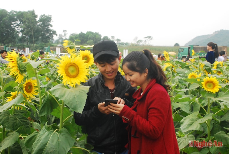 Du khách đến từ Anh Sơn