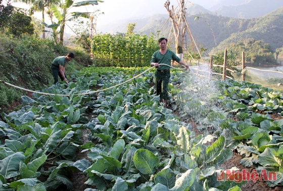 Tăng gia sản xuất.