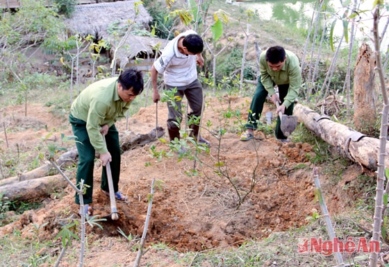 Giúp người dân xã Thông Thụ làm kinh tế.