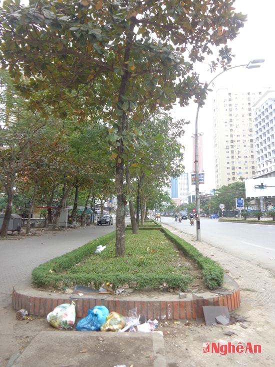 Góc phố trước nhà C6 Quang Trung, ảnh chụp lúc 12h15 ngày 18-12
