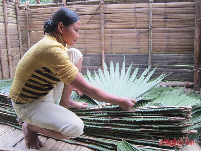 Đan tranh làm lều cho con trọ học.