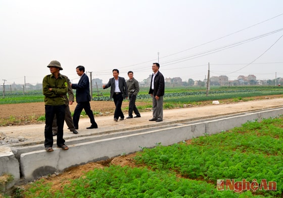 Kiểm tra hệ thống kênh mương, giao thông nội đồng ở Quỳnh Lương. Ảnh: V.Đ