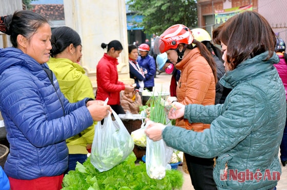 Rau an toàn của bản Phòng được người dân Tương Dương ưa chuộng