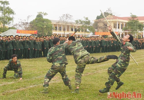 Luyện tập vũ thuật