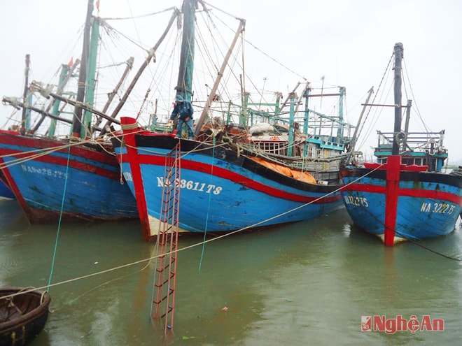 Tàu cá của ngư dân Quỳnh Lưu phải nằm bờ vì biển động.