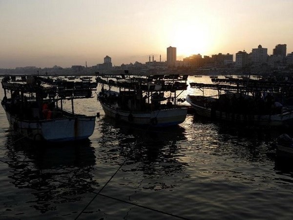 Tàu cá neo đậu ngoài khơi Gaza. (Nguồn: AFP)