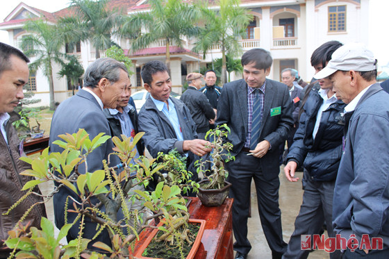 Đại biểu tham quan triển lãm