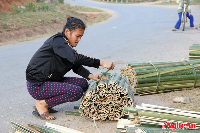 và được bó thành từng bó nhỏ.