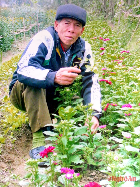 Ông Trần Ngọc Vinh chăm sóc vườn hoa.
