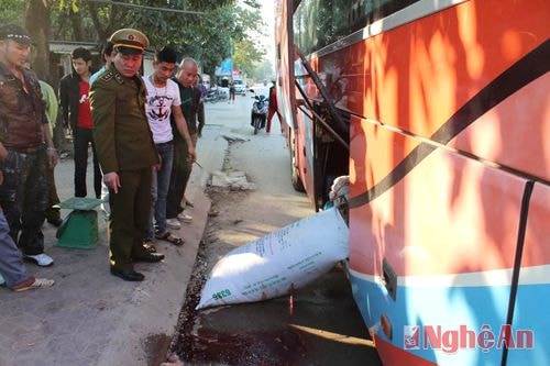 Một khối lượng nội tạng động vật lớn không có nguồn gốc