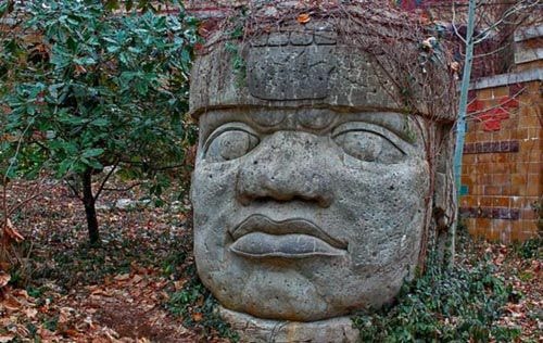 Đầu đá của người Olmec. Nguồn: BigStockPhoto