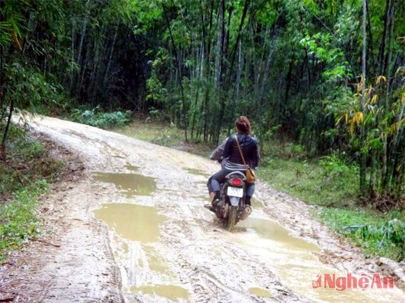 Đường vào Cam Lâm đoạn qua bản Bãi Gạo (Châu Khê) hễ mưa là lầy lội