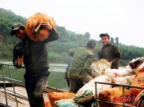 Chưa có cầu, người dân trong bản phải chuyển sắn bằng đò sang bán cho tư thương