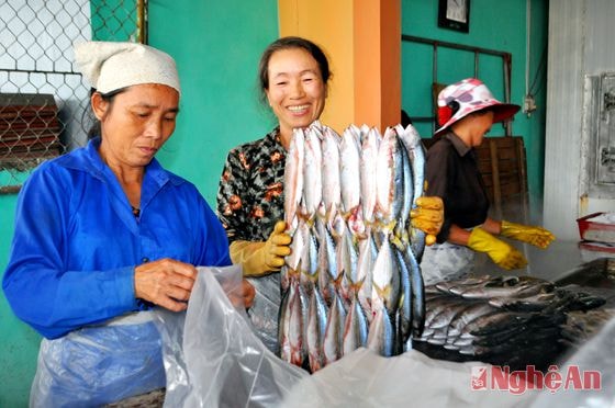 Chế biến hải sản ở phường Nghi Tân - Thị xã Cửa Lò.