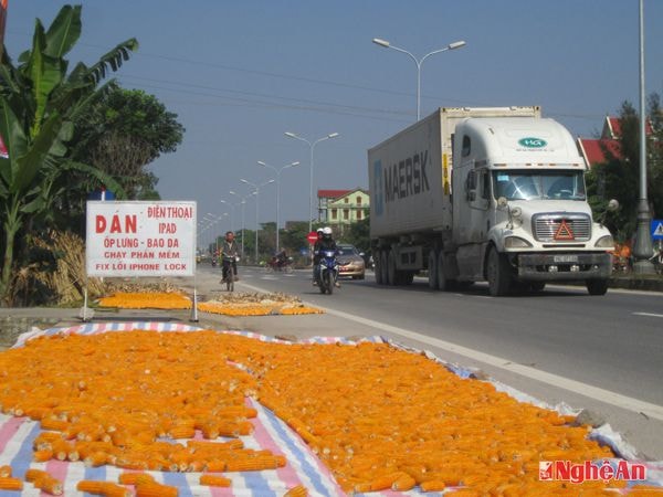 Phơi nông sản và họp chợ trên QL 1A tại xã Diễn Thịnh