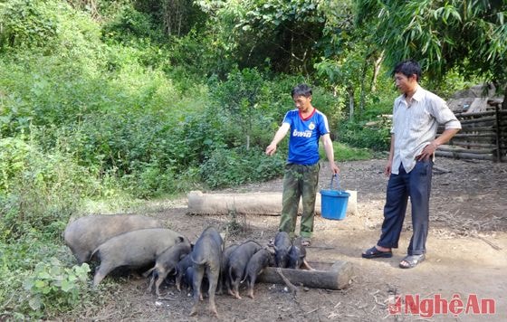 Mùa Bá Chư (phải) thăm trang trại của Mùa Nỏ Súa.