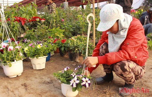 Chị ni bị tau lừa cho