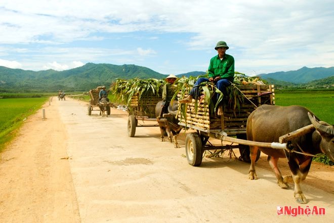 Đường bê tông nông thôn ở Nghĩa Đồng (Tân Kỳ).