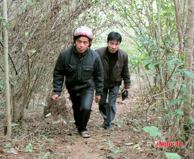 Ông chủ trẻ Thò Bá Vừ  (đi trước) dẫn phóng viên lên thăm trang trại chăn nuôi của mình.