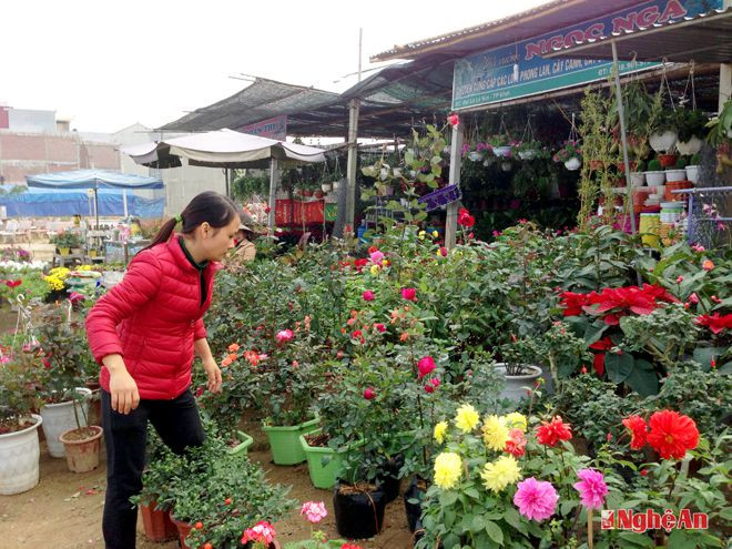Cửa hàng bán hoa trên Đại lộ Lê Nin (TP. Vinh).