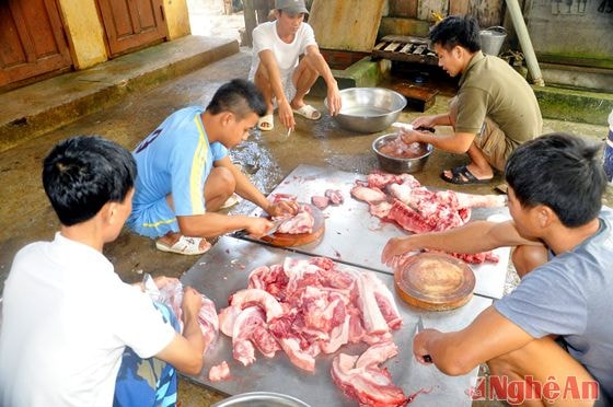 Lợn nuôi tại đảo Phan Vinh