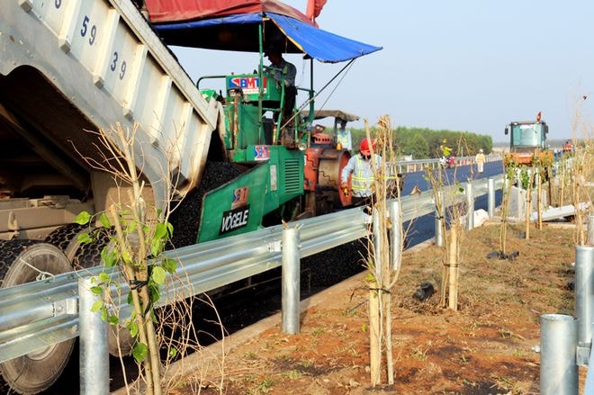 ... trồng cây xanh giữa dải phân cách dự để dự án kịp thông xe vào ngày 8/2 tới.