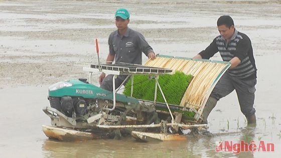 Mấy cày Kubota