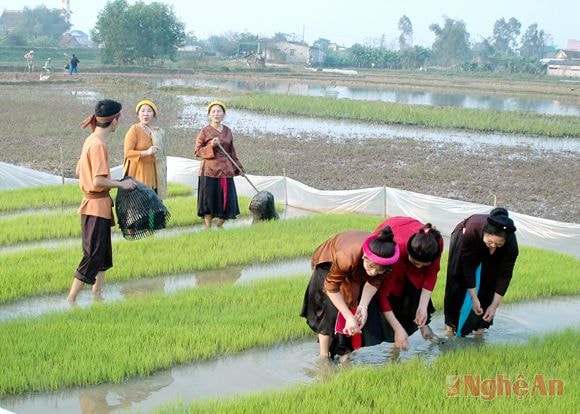 l Câu lạc bộ Dân ca  Vinh Tân (TP. Vinh)  trình diễn ví phường cấy.  Ảnh:  Trường Sinh