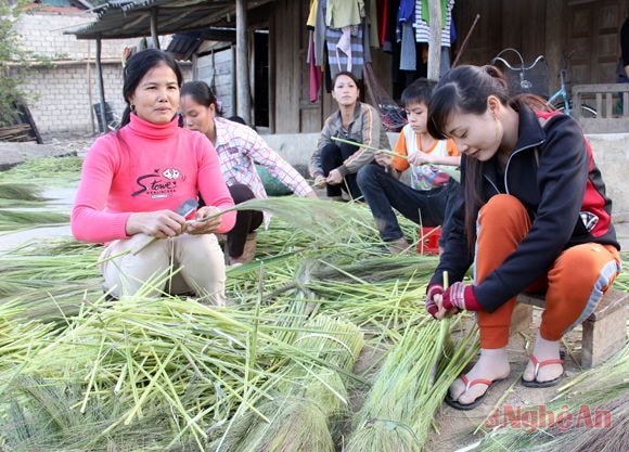 Bóc sạch đót.