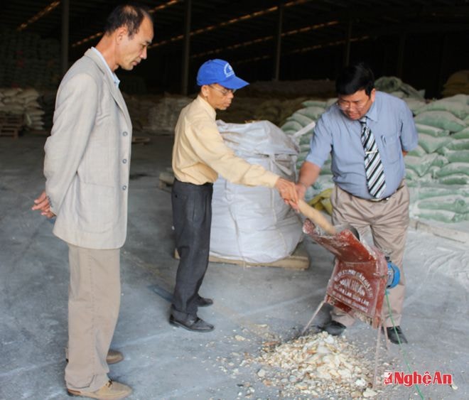 Kỹ sư Nguyễn Văn Thắng hướng dẫn cách ngâm ngũ cốc.