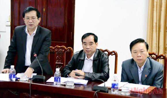 Đồng chí Đinh Viết Hồng - Phó Chủ tịch UBND tỉnh phát biểu ý kiến