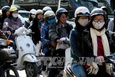 Ảnh minh họa: TTXVN