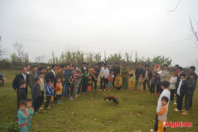 Chọi gà là một trong những nét văn hóa đặc sắc của đồng bào Mông nơi đây. 