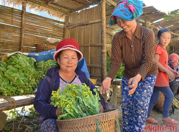 Người dân mang cải đã trổ hoa ra đường bán.