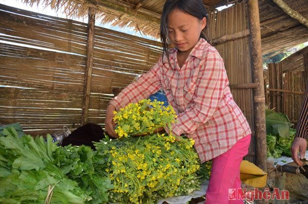 Nhiều em học sinh tranh thủ ngày nghỉ cũng ra lán bán rau cải ngồng.