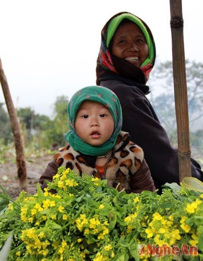 Em bé người Mông cười tươi bên bó cải ngồng.